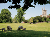 Present-day view