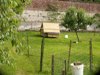 Chickens home in the walled garden