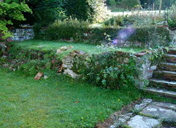 The Library Terrace prior to replanting