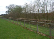 View of part of the Chawton estate