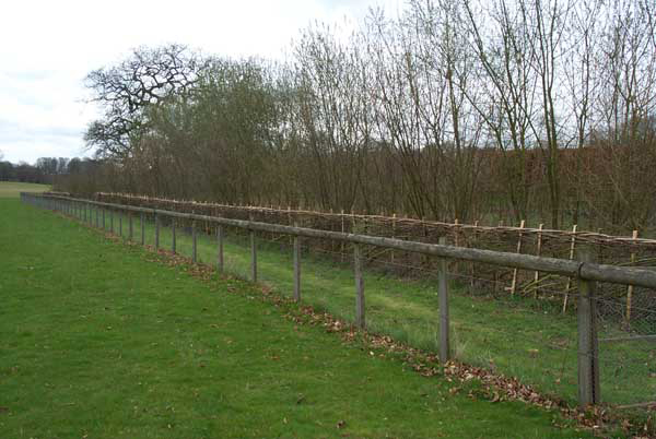The Chawton House permissive footpath along the A32 to Farringdon