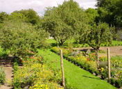 The Walled Garden in summer 2006
