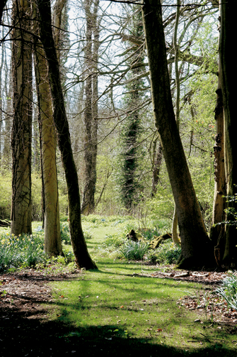 Inside the Wilderness