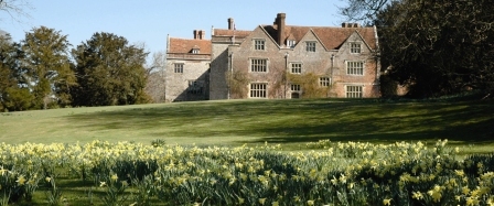 Chawton House Library and Dafodils on the South lawn